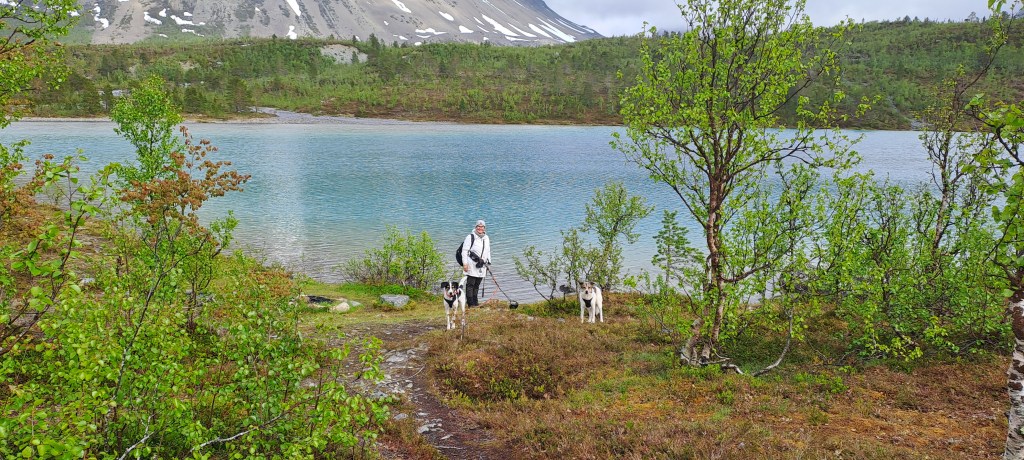 Nainen ja kaksi koiraa Aspevatnetilla.